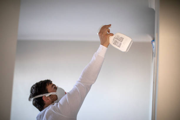 Best Local Mold Removal Service  in March Ar, CA