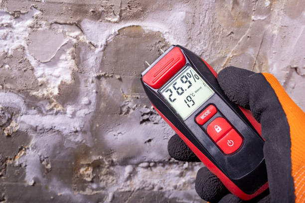 Best Mold Cleaning Services  in March Ar, CA