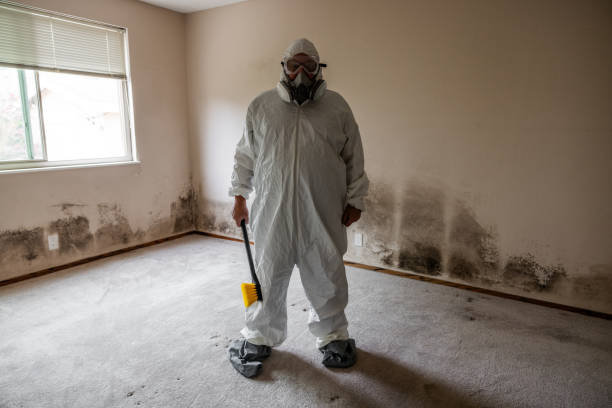 Best Mold Remediation Experts  in March Ar, CA